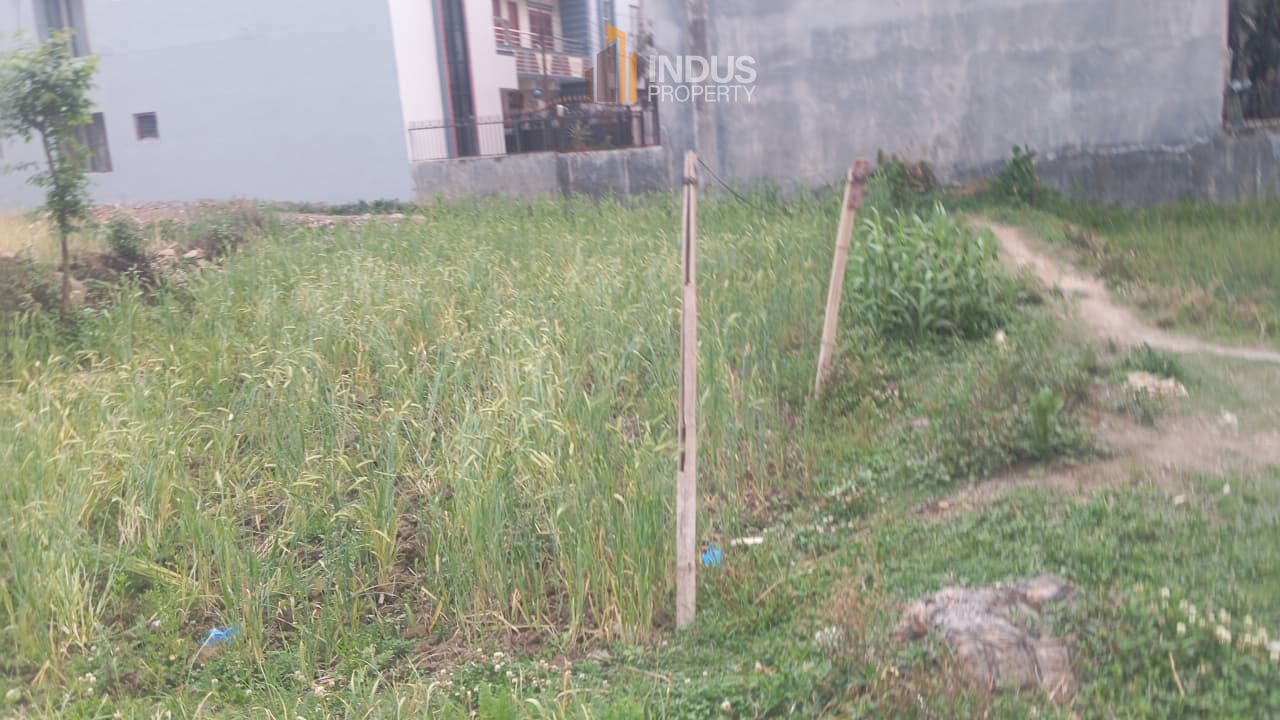 Picture of Mahalaxmi Municipality, Bagmati